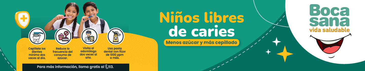 Banner de Salud Bucal