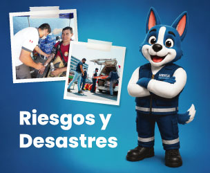 Portada Riesgos y Desastres