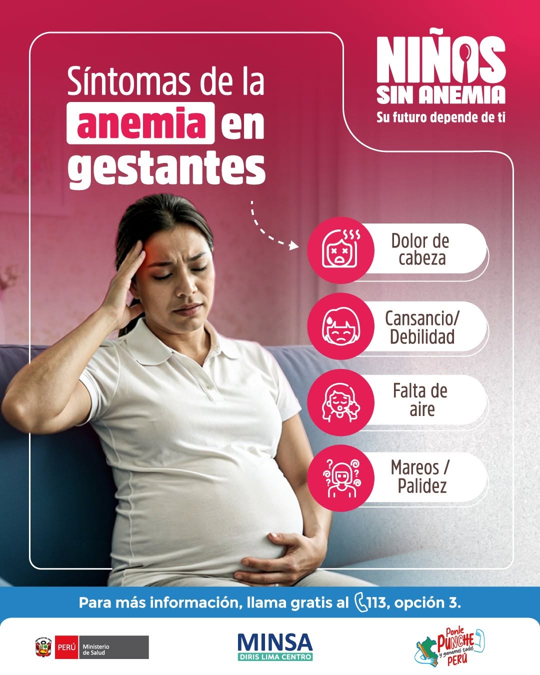 ANEMIA GESTANTES