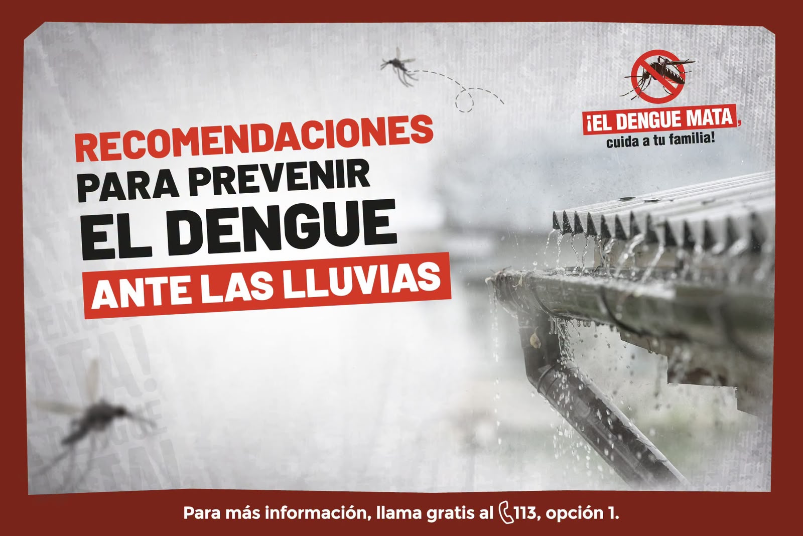 RECOMENDACIONES PARA PREVENIR DENGUE