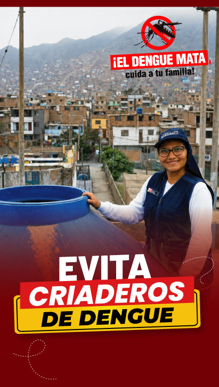 Recomendaciones para tu hogar frente al Dengue