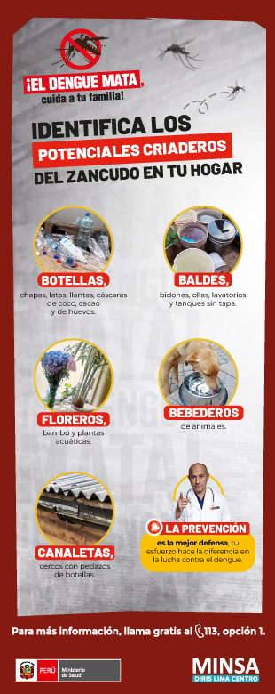 Prevención del dengue